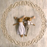 Bella & Tommy Ragdoll - Zao & Co